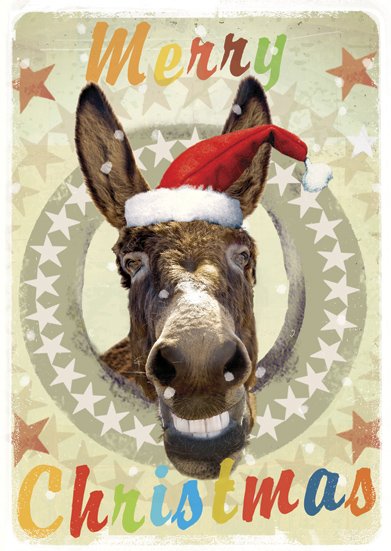 Merry Christmas Donkey Pack of 5 Greeting Cards by Max Hernn